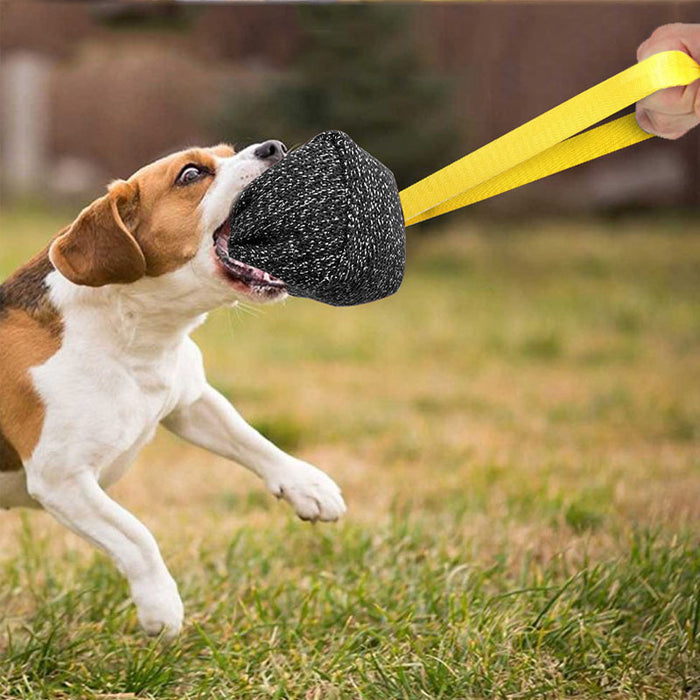 Dog Training Bite Pillow