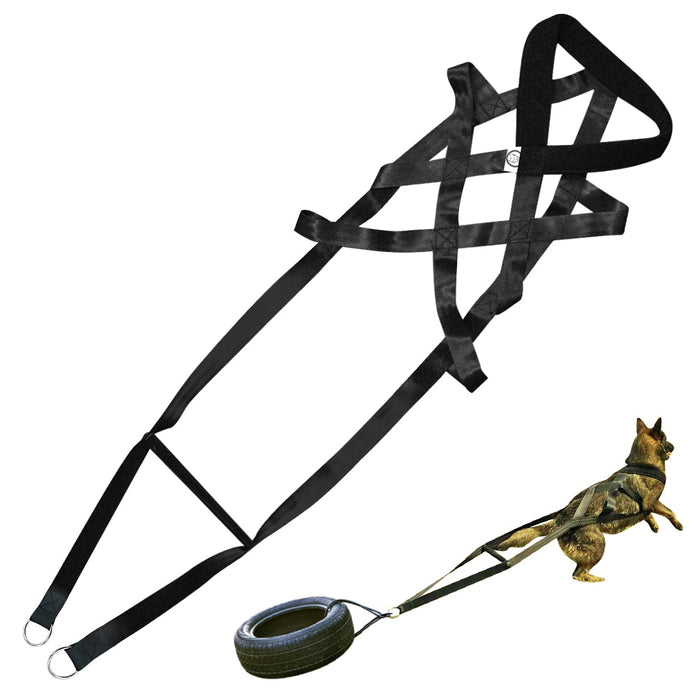 Cotton Dog Training Lead – 110cm
