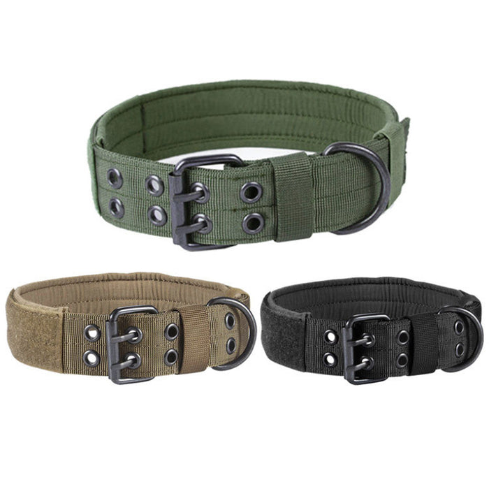 Wide Double-Buckle Dog Collar