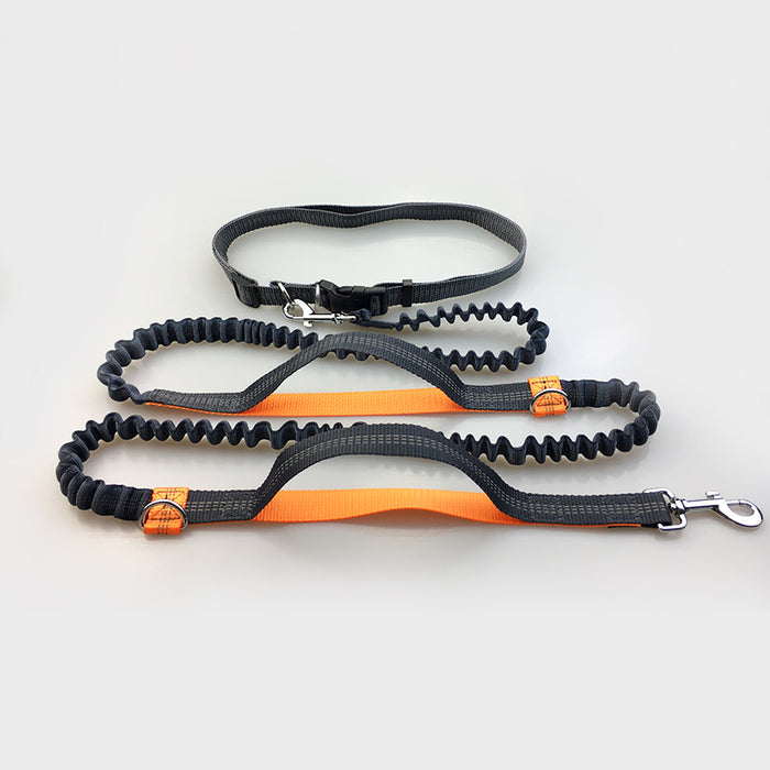 Hands-Free Reflective Bungee Dog Lead with Waist Belt