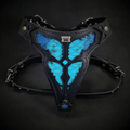The ''Morelia Python'' harness Medium Size-0