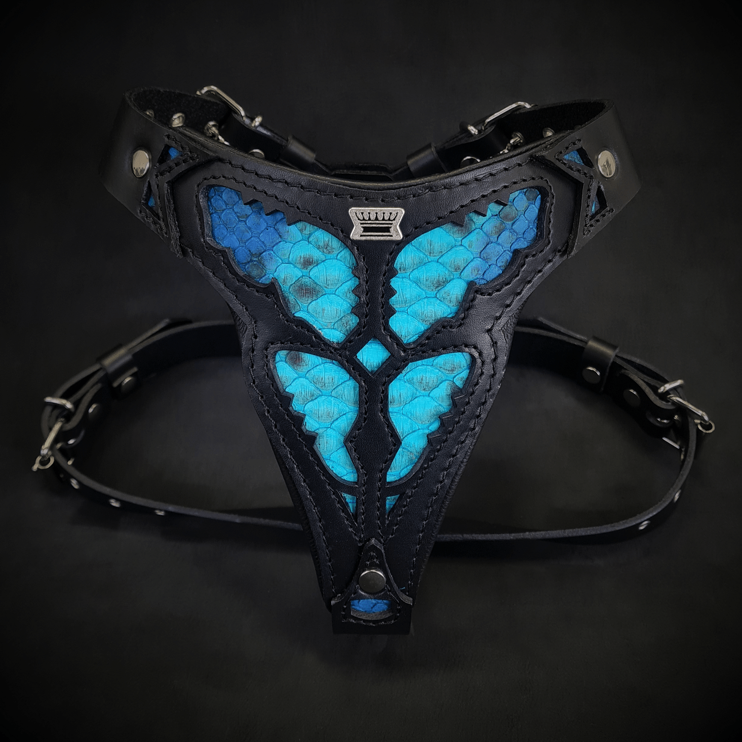 The ''Morelia Python'' harness Medium Size-0
