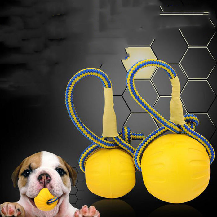 Floating EVA Dog Training Ball with Rope