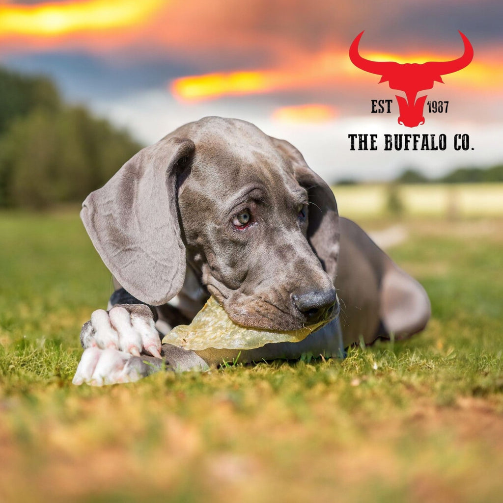 Buffalo Ears - Dog Treats-2