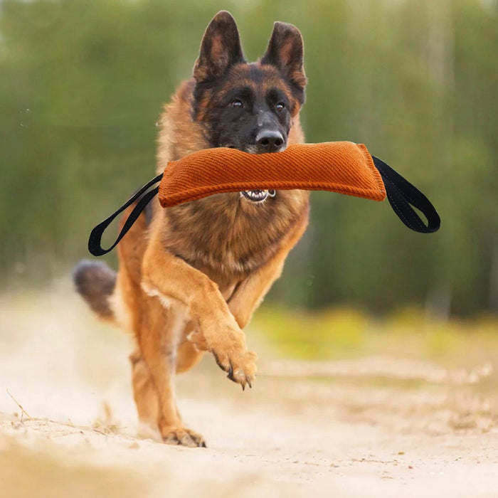 Dog Training Bite & Tug Pillow