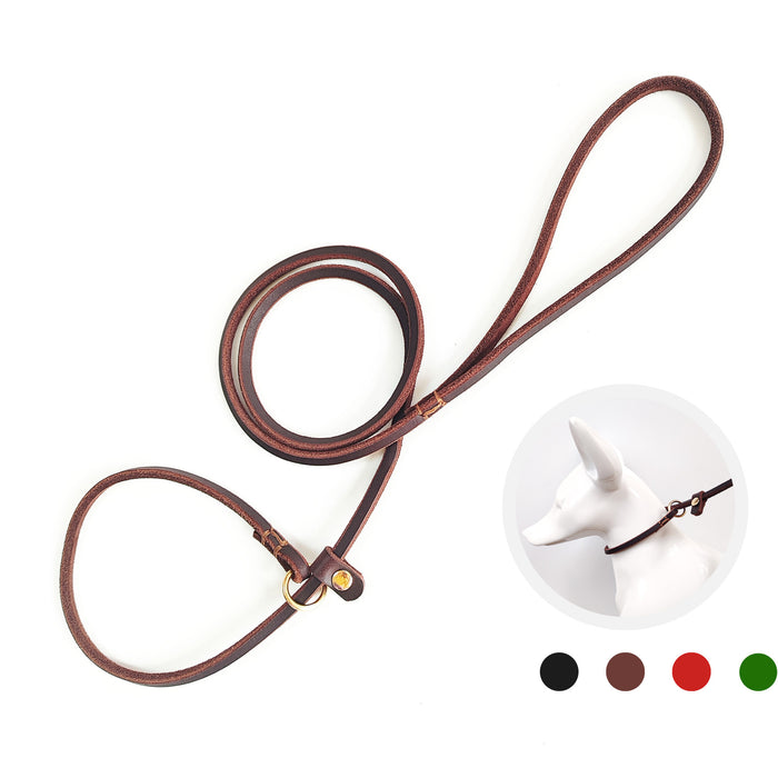 Genuine Leather Braided Cowhide Slip Lead