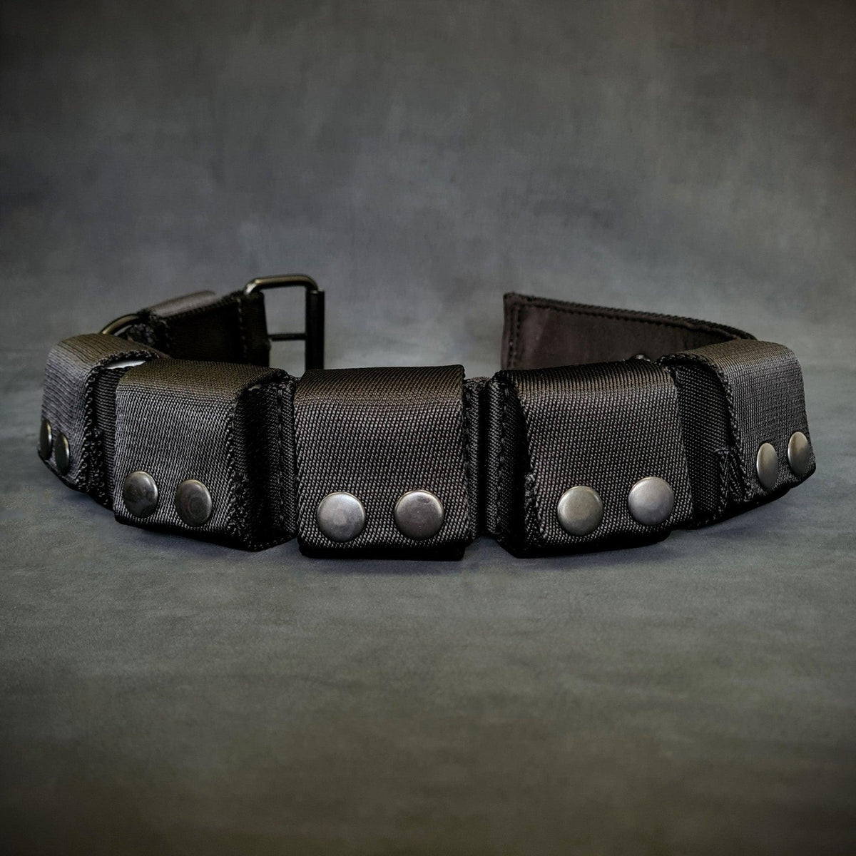 Weighted dog training collar. Large breeds. 5 lbs total. removable weights
